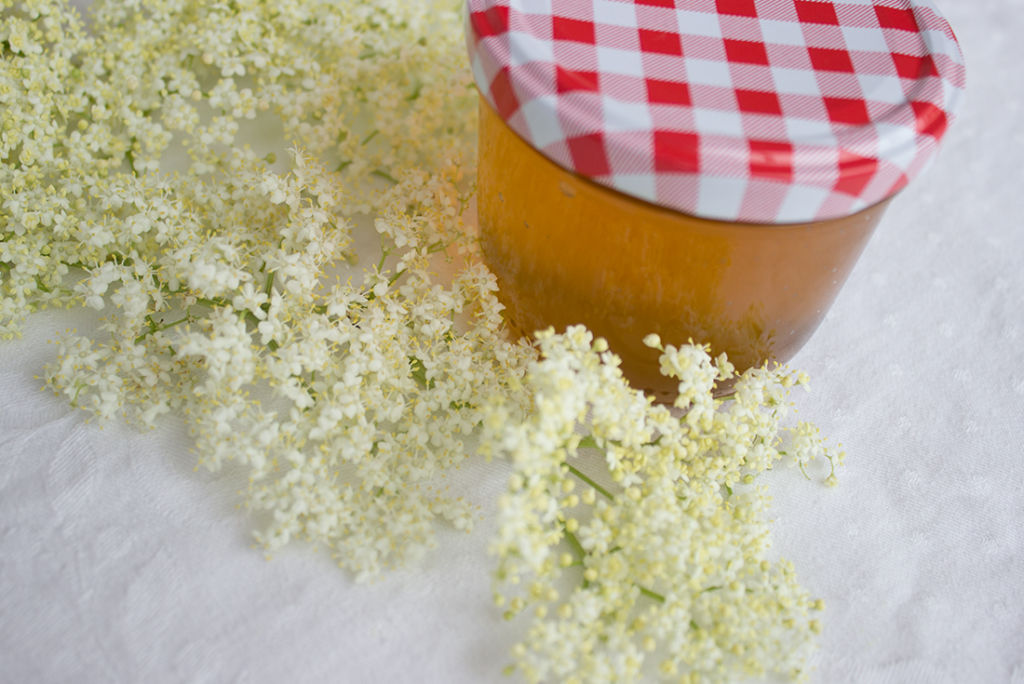 Holunderblütengelee selber machen – Dinner4Friends