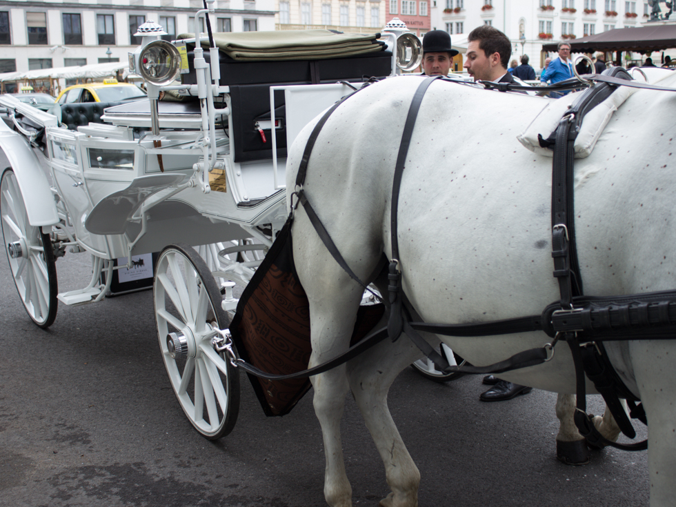 Culinary Sightseeing in Wien