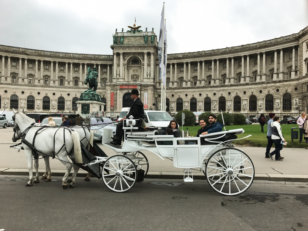 Culinary Sightseeing in Wien