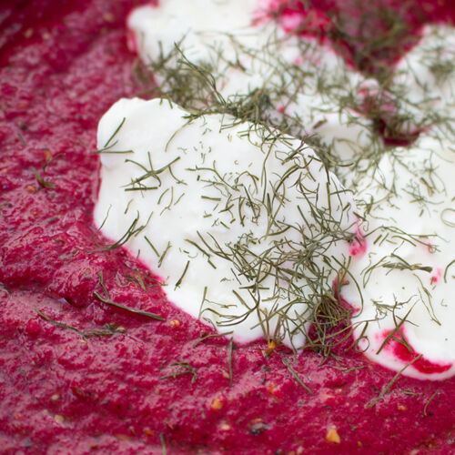Rote Beete Dip ist schnell gemacht und voller Vitamine!