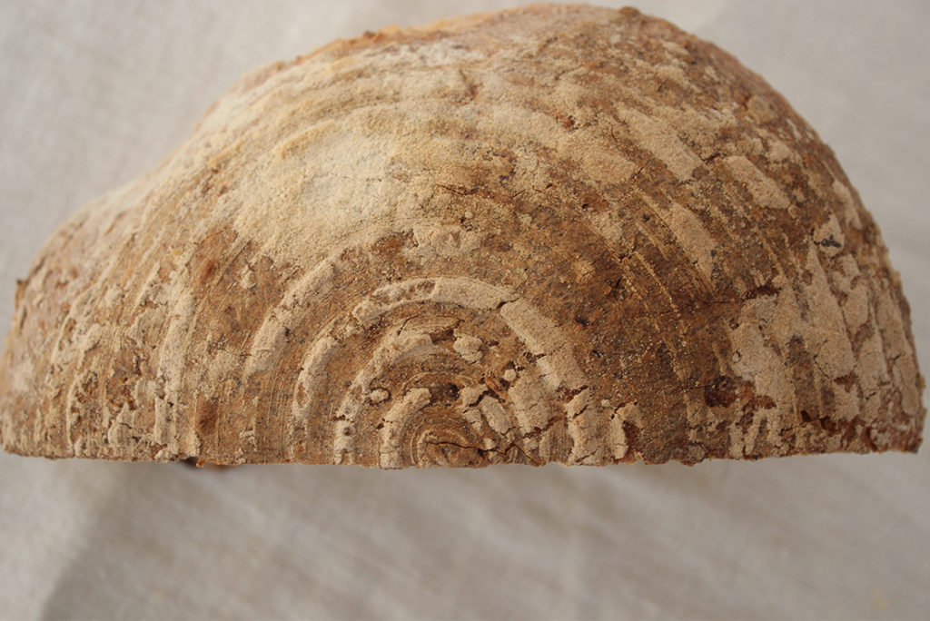 Weizenbrot mit Haferflocken – Dinner4Friends